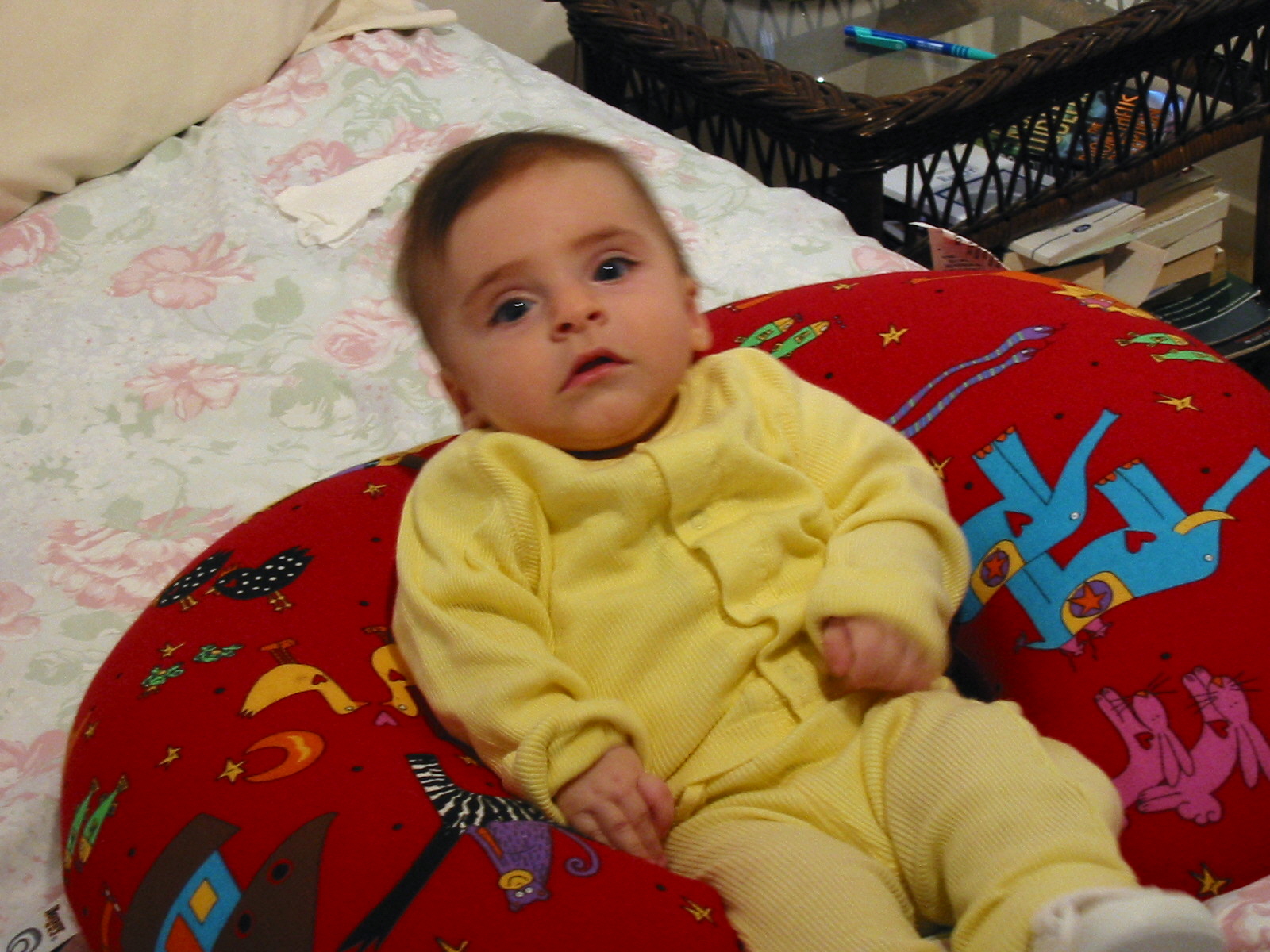 joy grossman
